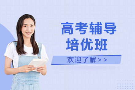 高考冲刺培优班全解析：个性化教学助力名校突围