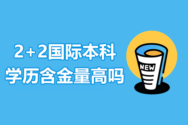 中外合作2+2国际本科优势解析：学历价值与职业发展深度解读