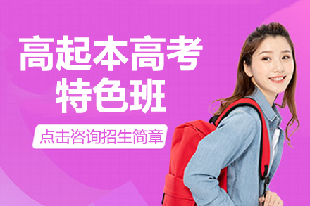 上海松江区高起本特色课程深度解析