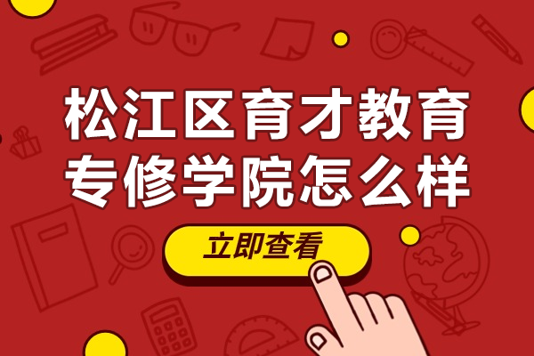 上海松江育才教育深度解析：高考升学与国际化培养特色