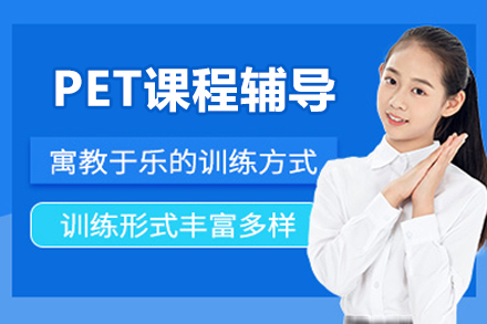 北京PET英语特训课程深度解析：新鸿书院备考全攻略