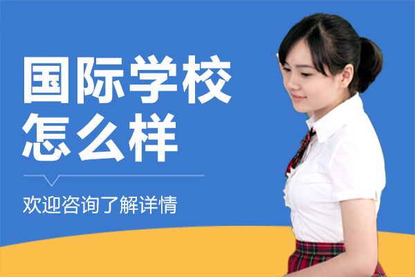 上海国际化教育全景解析：课程体系与升学路径深度解读