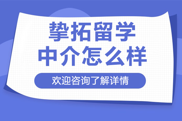 深圳挚拓留学服务全方位解析：专业指导助力名校申请