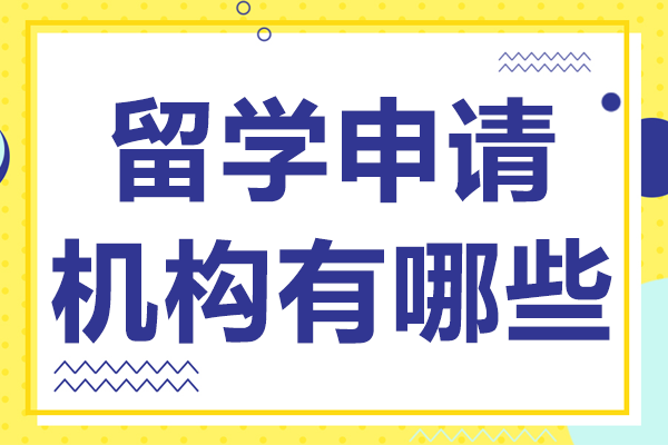 深圳留学申请全流程解析：专业机构如何助力名校录取
