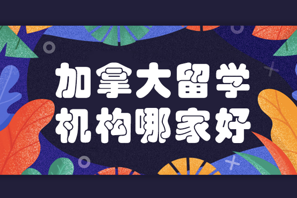 深圳专业加拿大留学规划全攻略 - 挚拓教育特色服务解析