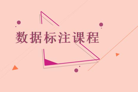 数据标注师职业培训全解析：从核心技术到职业规划