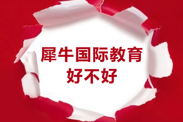 重庆犀牛国际教育深度解析：课程体系与教学优势全景透视