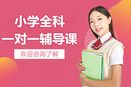 北京小学全科一对一辅导课