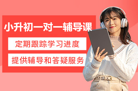 北京小升初一对一辅导课