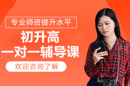 北京初升高一对一辅导课