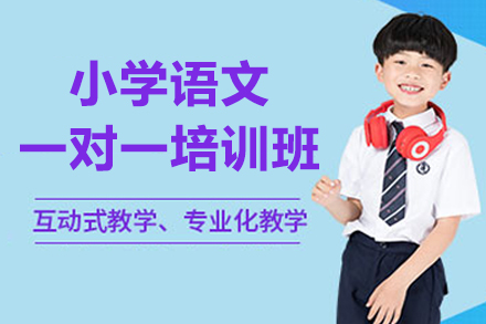 深圳小学语文定制化辅导课程深度解析