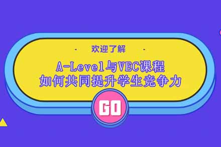 解密AL与VEC课程体系如何锻造未来精英