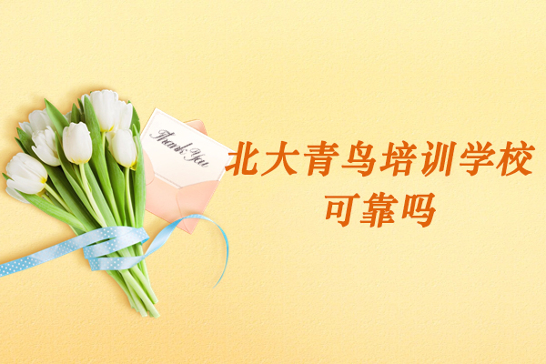杭州北大青鸟培训学校可靠吗-好吗