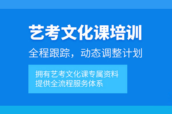 武汉艺考文化课培训课程