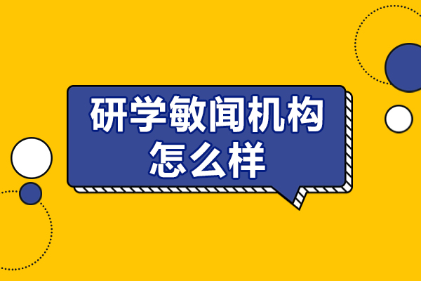 北京研学敏闻机构深度解析：服务特色与学员发展路径