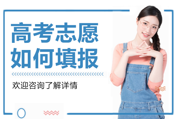 上海新高考志愿填报全攻略：院校专业组模式解析与实战技巧
