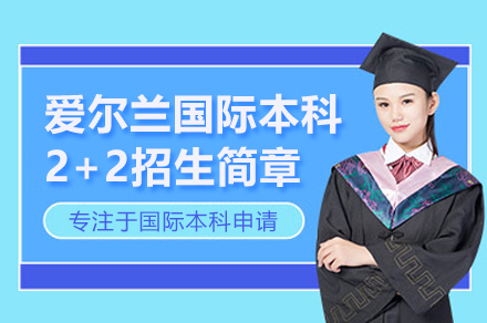 上海大学悉尼工商学院爱尔兰国际本科双学位计划深度解析