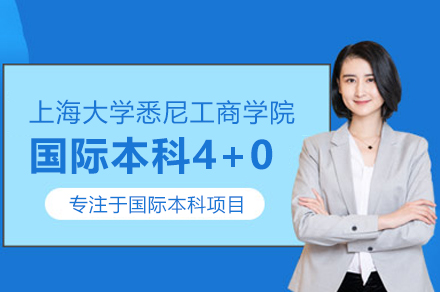 上海大学荷兰国际本科4+0项目深度解析：国际化教育新范式