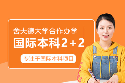 舍夫德大学国际本科双学位项目深度解析