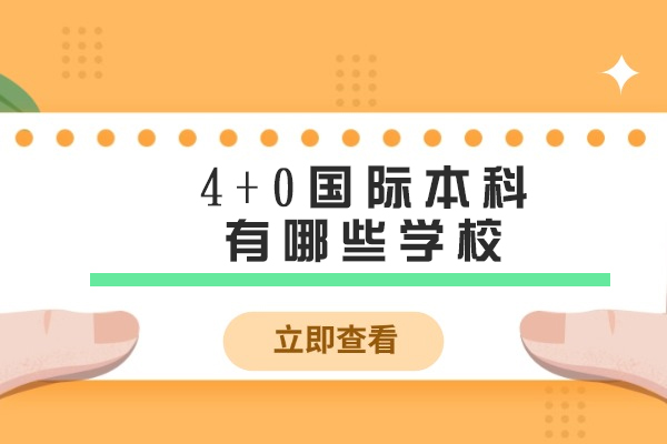 上海4+0国际本科院校深度解析与择校指南