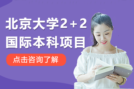 北京大学全球精英计划2+2本科项目深度解析