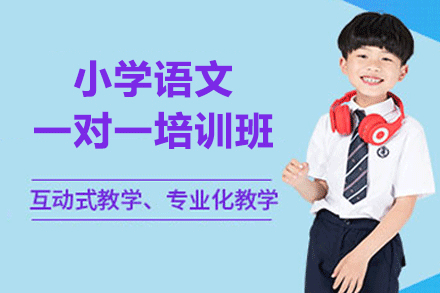 南昌小学语文一对一培训班