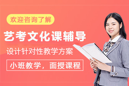 遵义艺考文化课定制辅导班