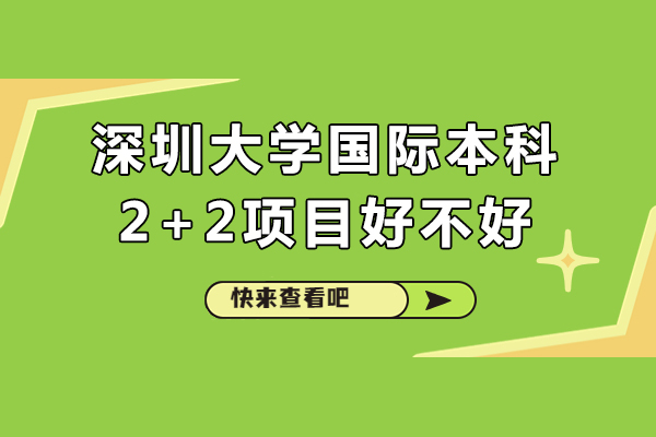 深圳大学国际本科2+2项目全方位解析：教学模式与发展前景
