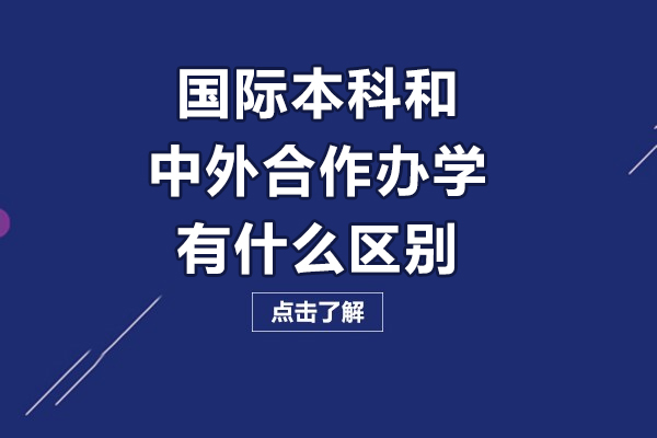 国际本科VS中外合作办学：五大核心差异深度解析