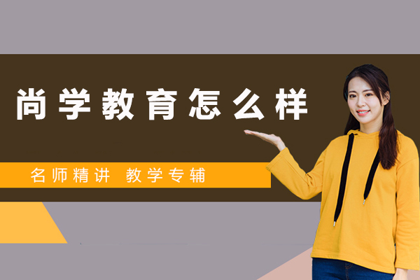 北京尚学教育深度解析：教学模式与学员成长路径