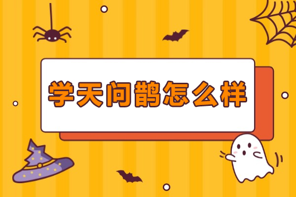 成都学天问鹊中医药教育优势解析