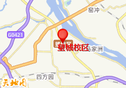 望城校区