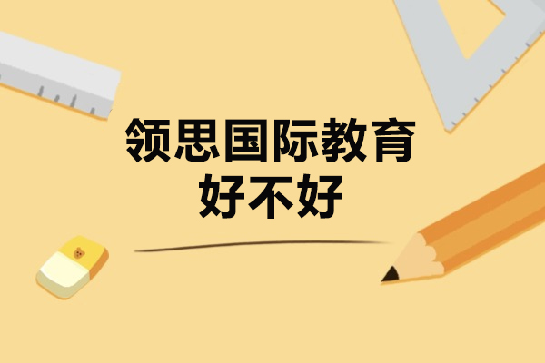 广州领思国际教育课程特色深度解析