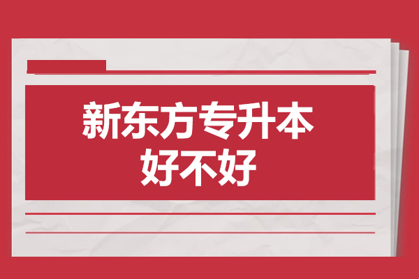 广州新东方专升本课程深度解析：三维进阶体系与智能教学实践