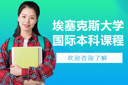 埃塞克斯大学国际本科课程