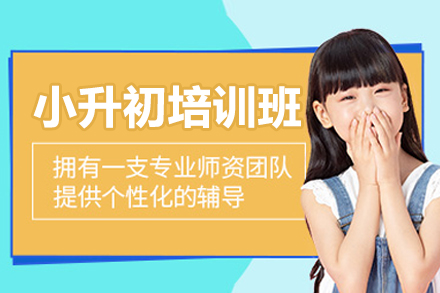 深圳小升初一对一培训班