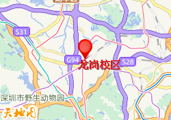 龙岗校区