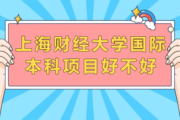 上海财经大学国际本科项目深度解析：打造国际化财经精英的黄金通道