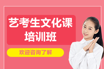 深圳艺考生文化课培训班