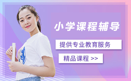小学课程辅导
