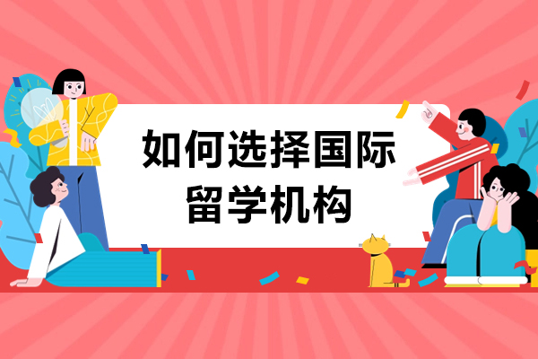 国际本科留学机构筛选指南：五大核心评估维度解析