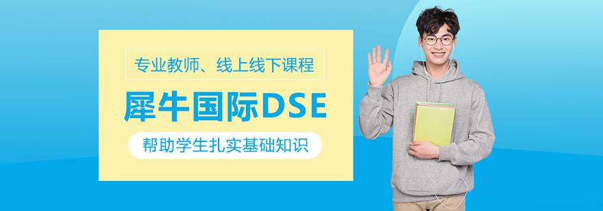 北京犀牛国际DSE