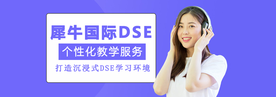 北京犀牛国际DSE