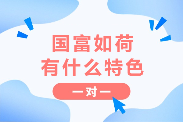 深度解析成都国富如荷数据分析培训特色
