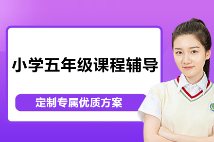 小学五年级课程辅导