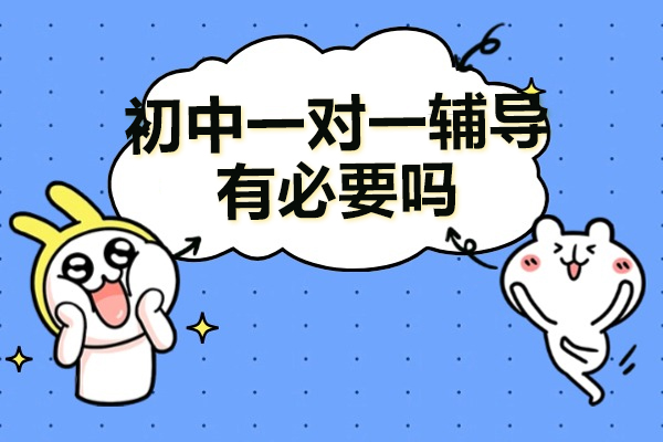 初中个性化辅导价值解析：科学提升学业成效的五大路径