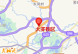 大芬校区