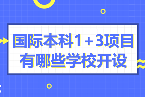 上海国际本科1+3项目有哪些学校开设
