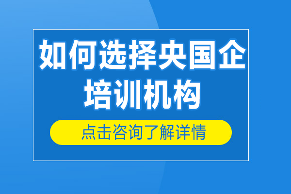 央国企求职培训班选择指南：五大核心评估维度解析