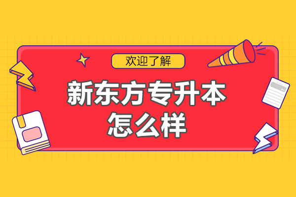 北京新东方专升本培训特色深度解析
